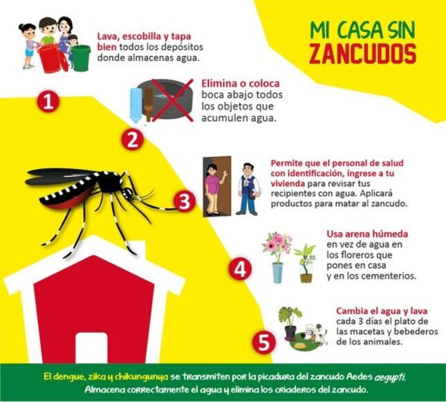 lucha contra el dengue