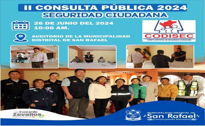 Segunda Consulta Pública de Seguridad Ciudadana - 2024