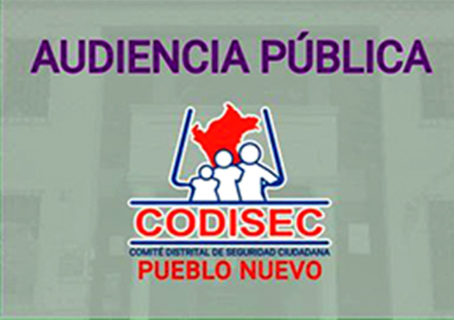 Comité Distrital de Seguridad Ciudadana