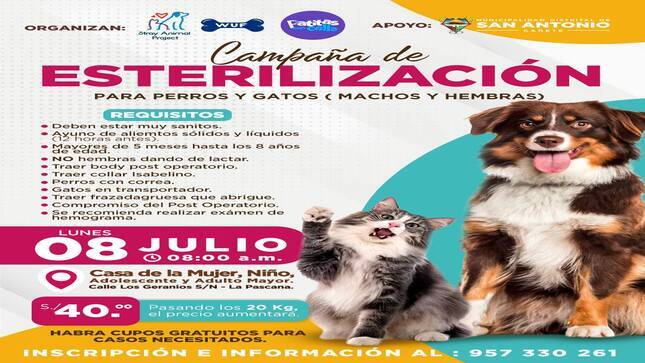 Campaña de esterilización Canica y Felina