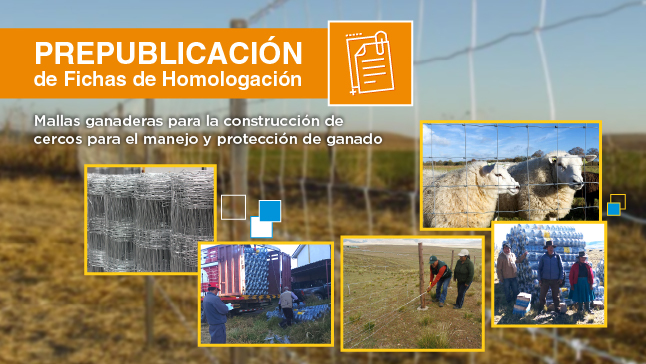 Prepublicación de proyectos de Fichas de Homologación