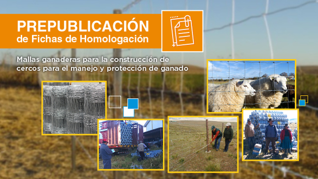 Prepublicación de proyectos de Fichas de Homologación