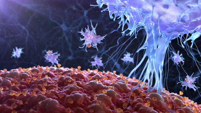 Symposium Internacional en Respuesta Immune Innata y Vaccionología