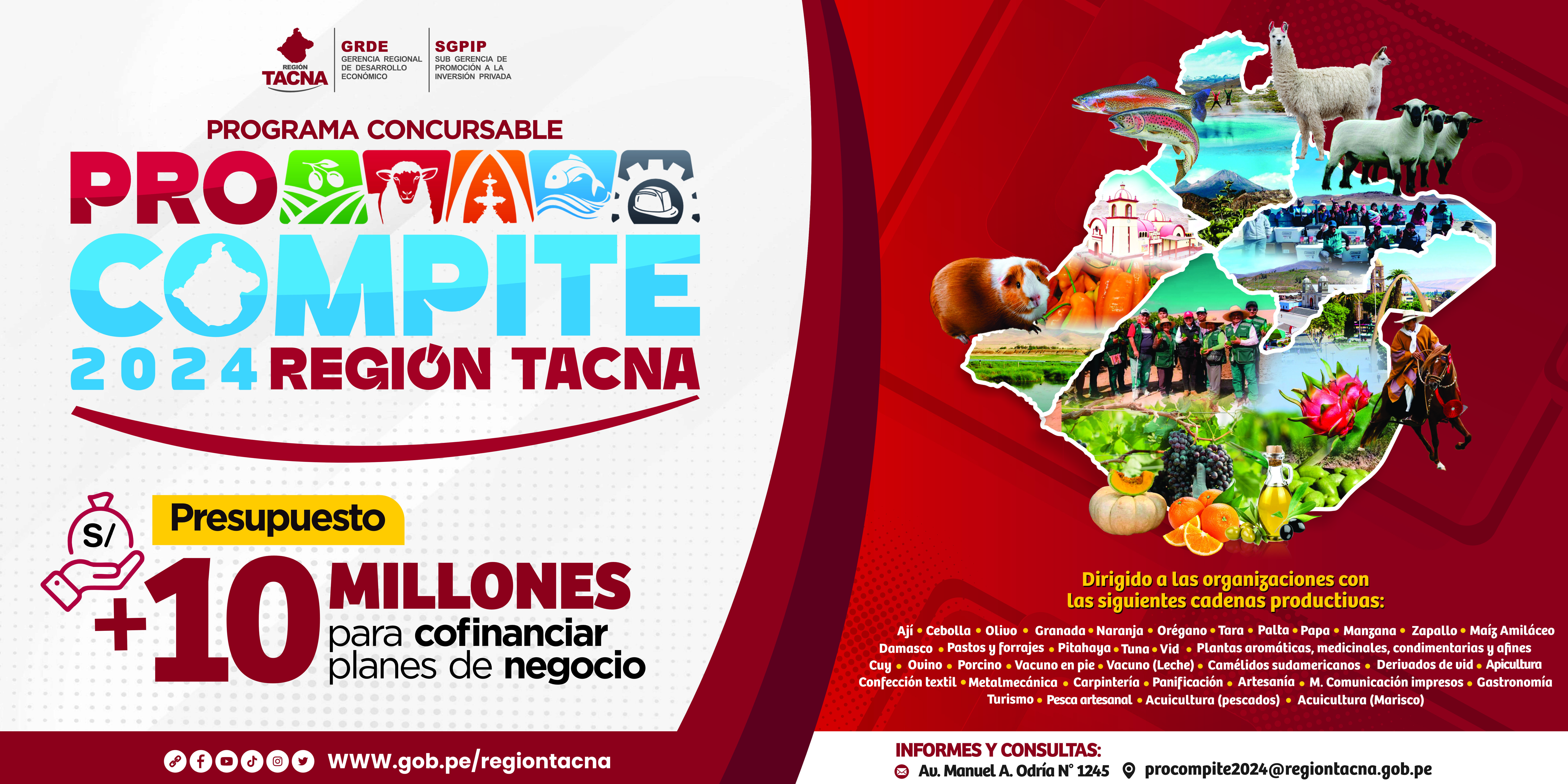 PROCOMPITE 2024