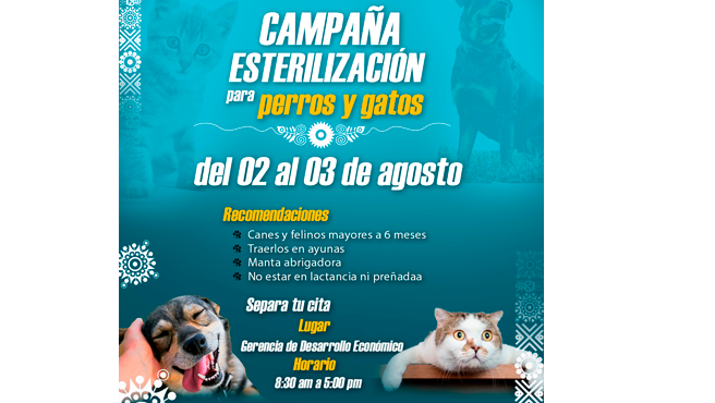 Campaña de esterilización