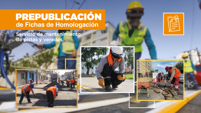 Prepublicación de proyectos de Fichas de Homologación