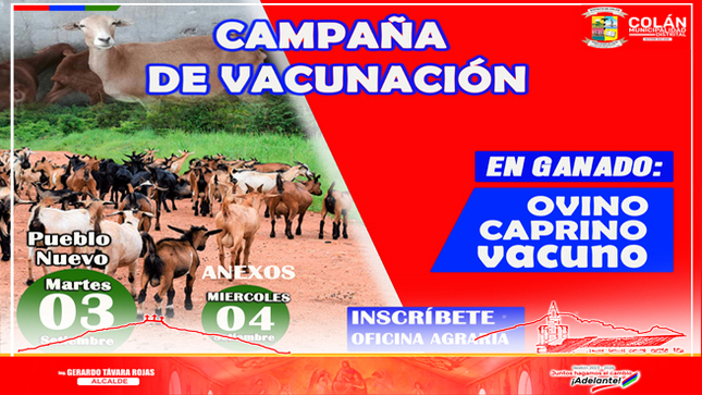 campaña de vacunación