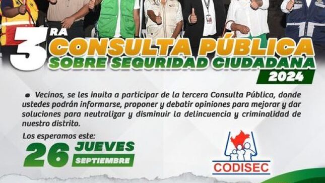 ¡3ra Consulta Pública 2024 sobre Seguridad Ciudadana!