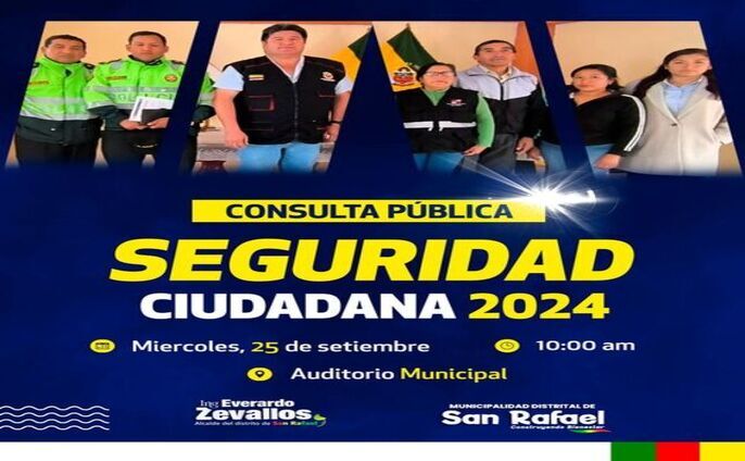 Consulta Pública - Seguridad Ciudadana
