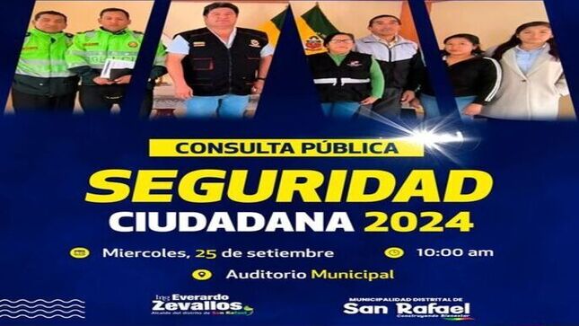 Consulta Pública - Seguridad Ciudadana