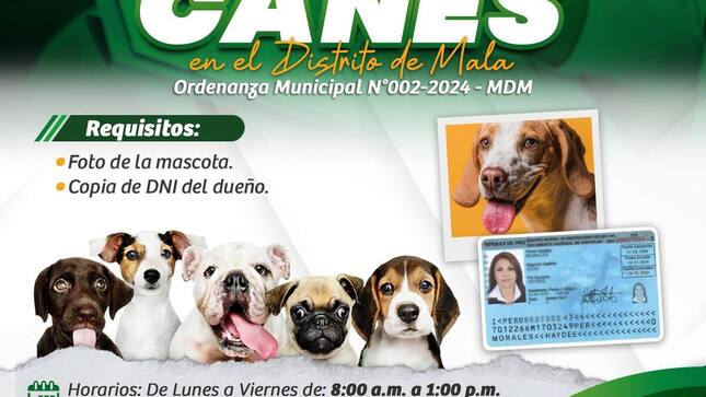 Registro de Canes en el Distrito de Mala