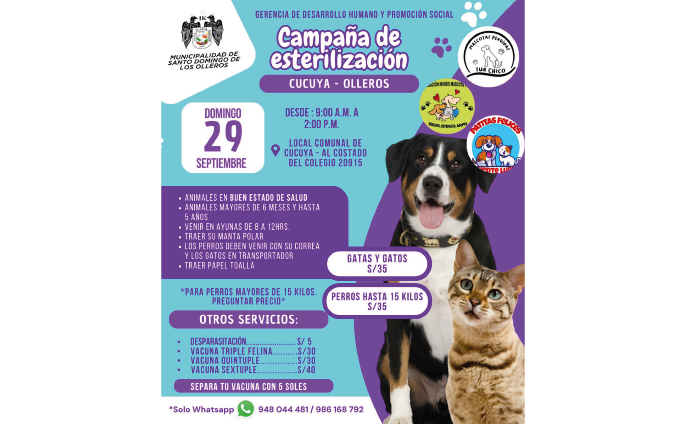 Campaña