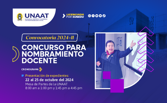 Para las categorías Principal, Asociado y Auxiliar de las escuelas profesionales de Administración, Enfermería, Medicina Humana e Ingeniería Agroindustrial