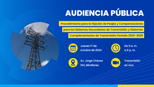Audiencia Pública