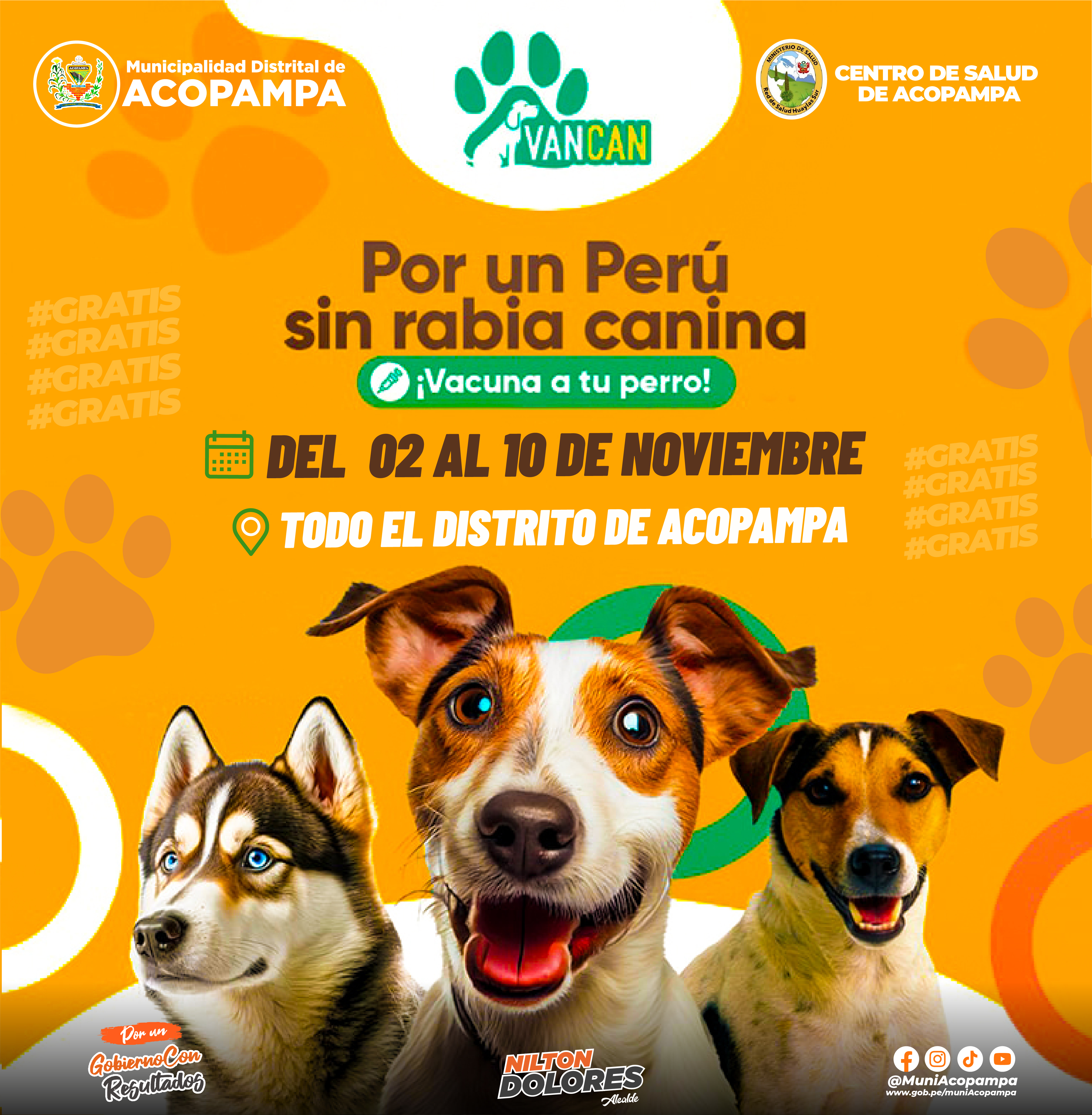 Vacunacion canina gratis