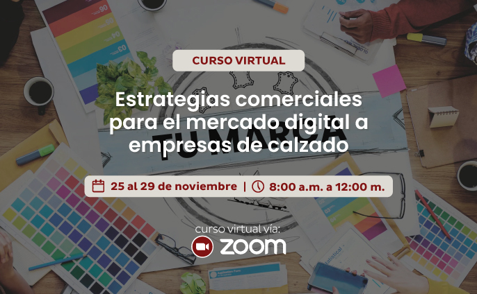 Estrategias comerciales para el mercado digital, dirigido a empresas de calzado