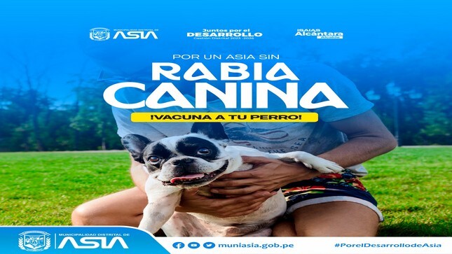 gran campaña de vacunación canina 2024