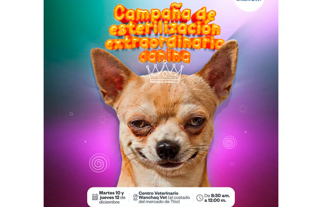 campaña extraordinaria de esterilización para perros