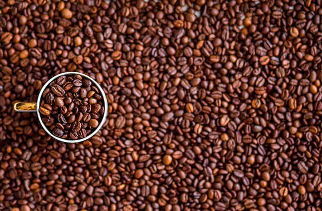 Venta de café del fundo Potrero diciembre 2024