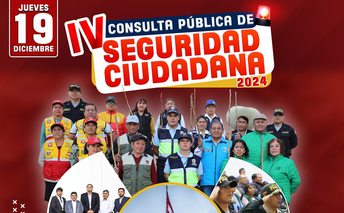 IV Consulta pública de seguridad ciudadana