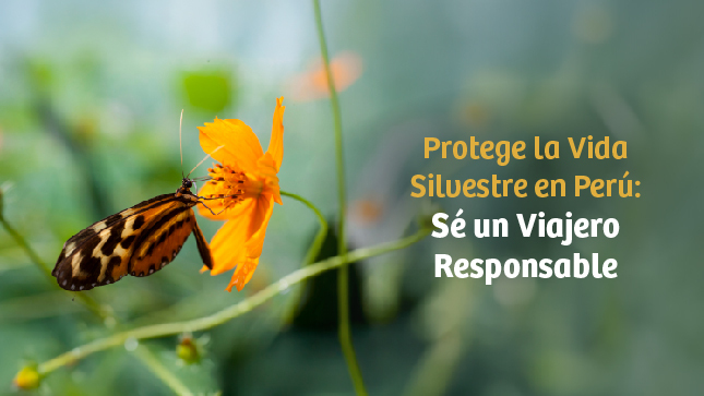 Protege la Vida Silvestre en Perú: Sé un Viajero Responsable