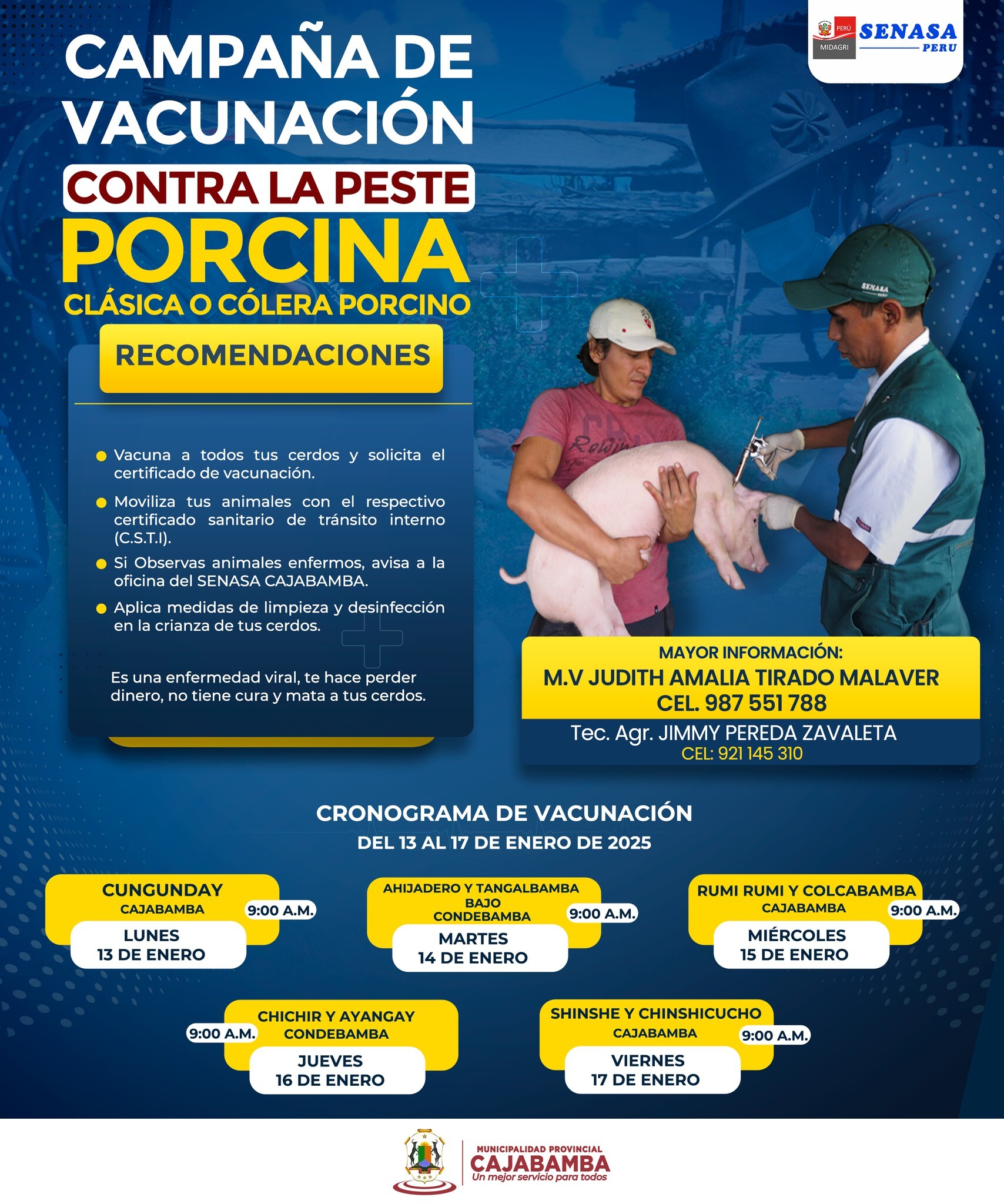 Campaña de vacunación contra la peste porcina