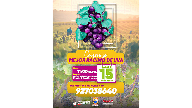 Concurso "Mejor racimo de uva"