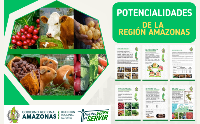 Potencialidades de la Región Amazonas