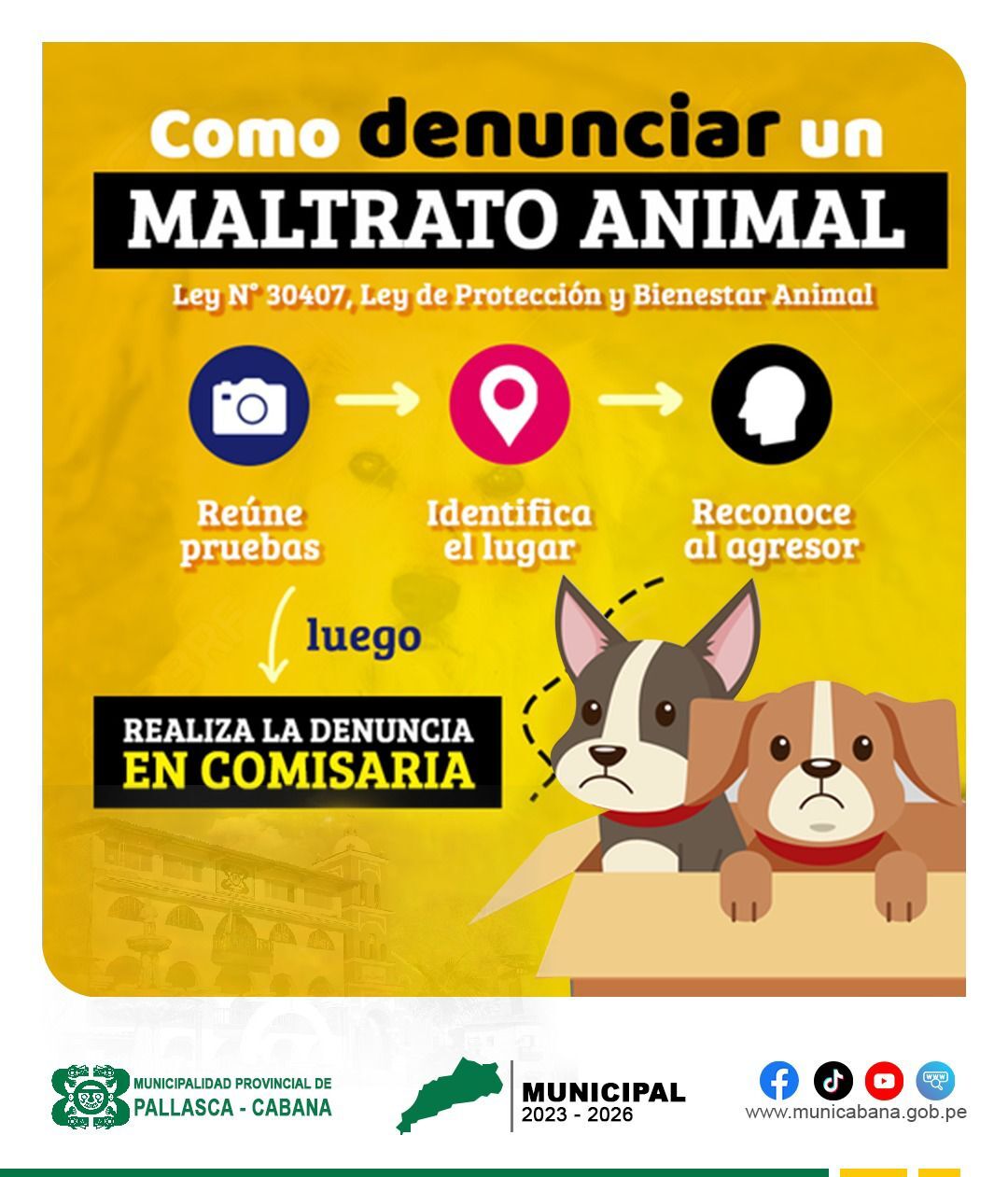 Como Denunciar un Maltrato Animal