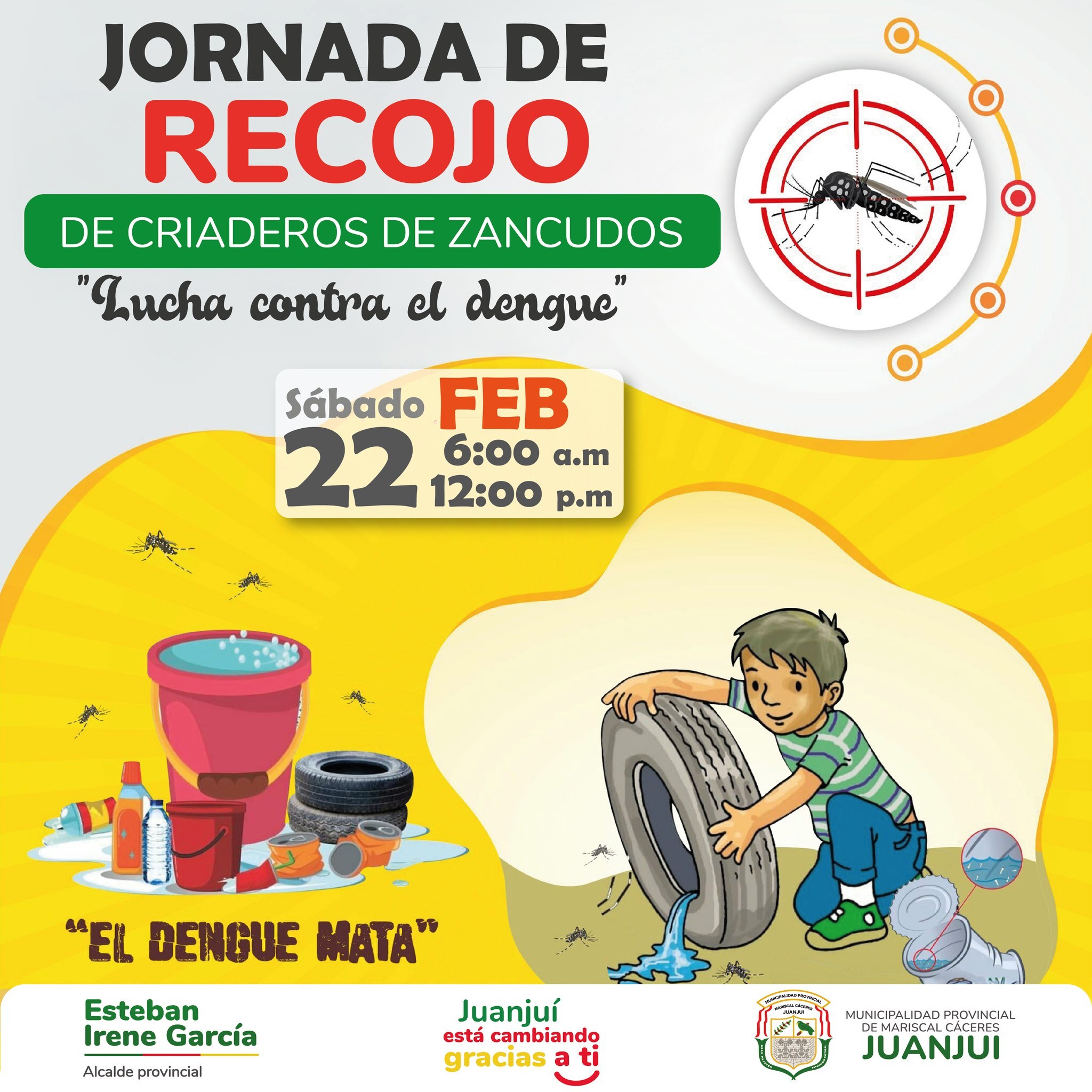 LUCHA CONTRA EL DENGUE