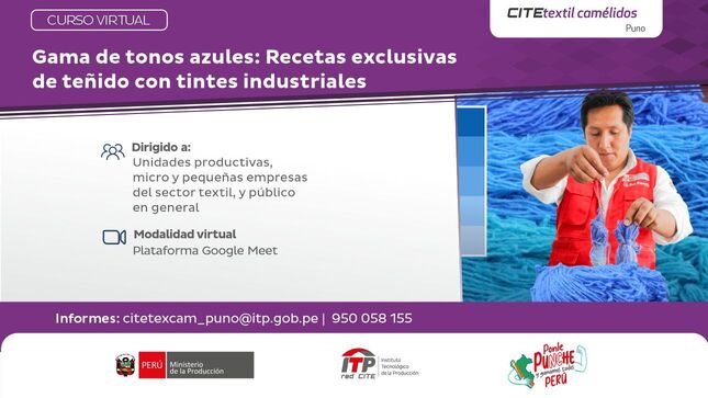 Curso virtual: Gama de tonos azules, recetas exclusivas de teñido con tintes industriales