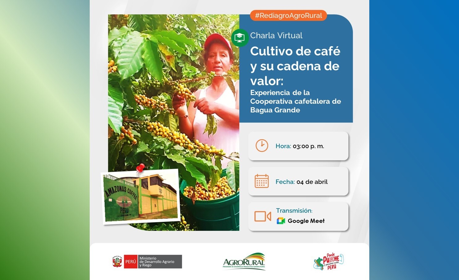 Cultivo de café y su cadena de valor: Experiencia de la Coop Bagua Grande