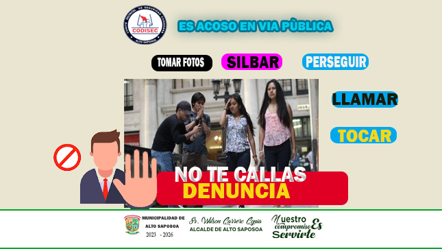 VIOLENCIA SEXUAL EN VIA PUBLICA