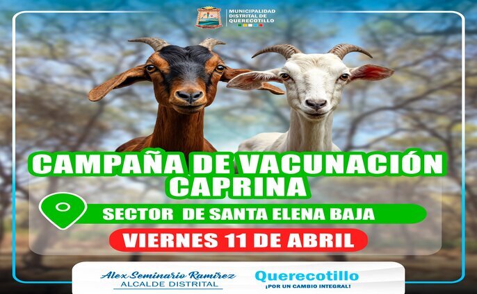 campaña de vacunación