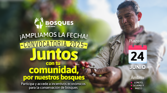 Afiliación 2025