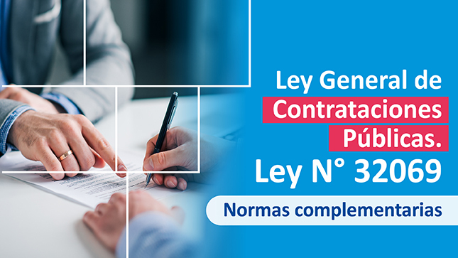 Ley Nº 32069