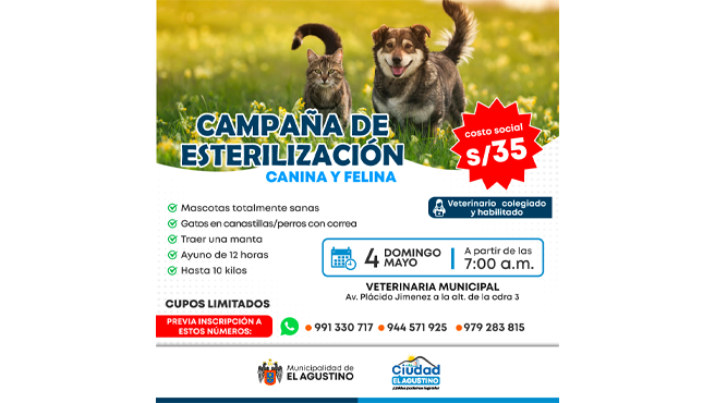 Gran Campaรฑa de Esterilizaciรณn Canina y Felina