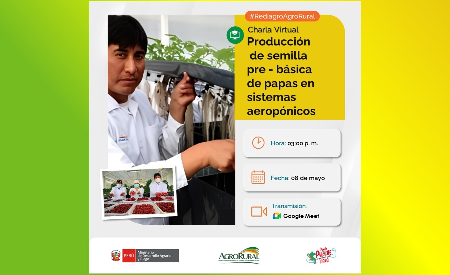 Producción de semilla pre - básica de papas en sistemas aeropónicos