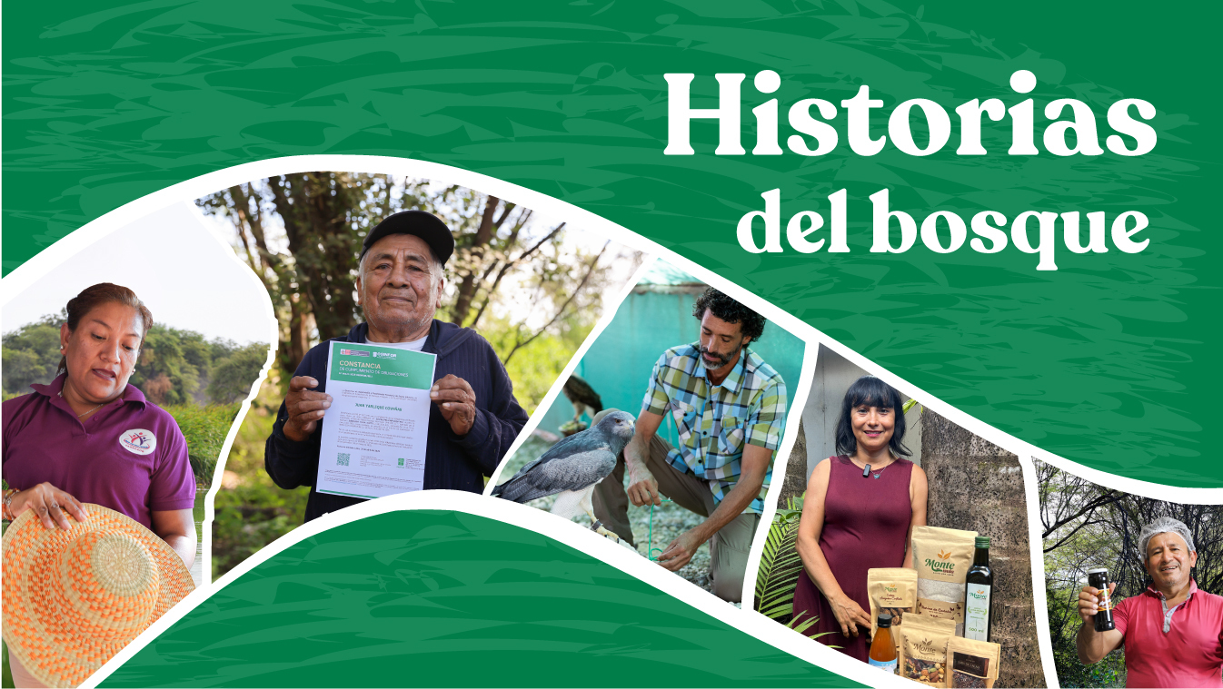 Experiencias que inspiran, desde los bosques del Perú
