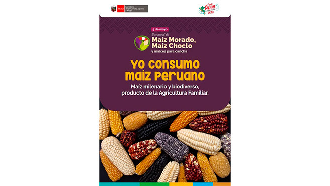 Día Nacional del Maíz Morado, Maíz Choclo y maíces para cancha