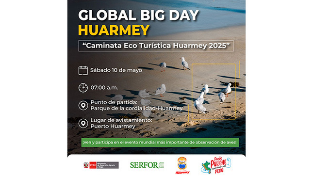 Global Big Day, evento mundial de avistamiento de aves 2025