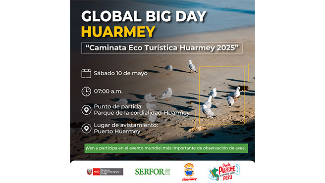 Global Big Day, evento mundial de avistamiento de aves 2025