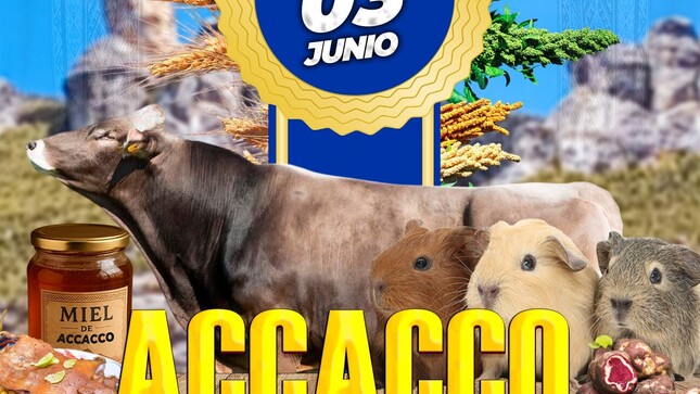 50 ANIVERSARIO ACCACCO