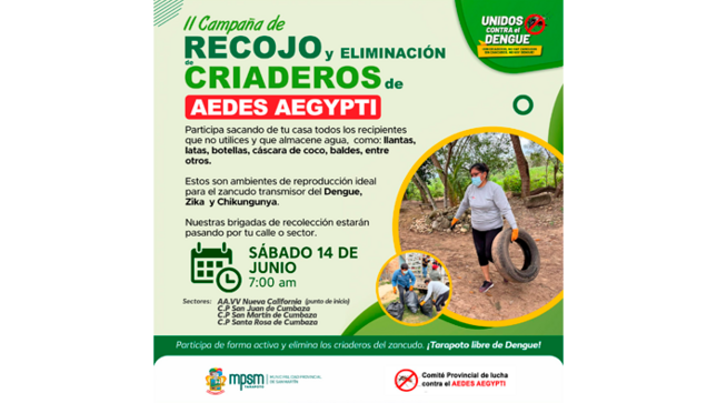 Segunda campaña de recojo de criaderos de dengue.