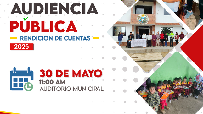 Audiencia Publica