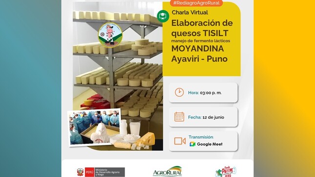 Elaboración de quesos Tisilt y manejo de fermento lácticos MOYANDINA – Ayaviri
