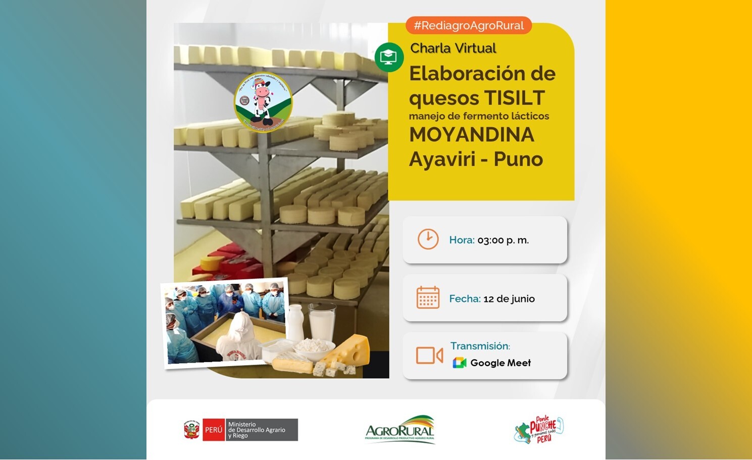 Elaboración de quesos Tisilt y manejo de fermento lácticos MOYANDINA – Ayaviri