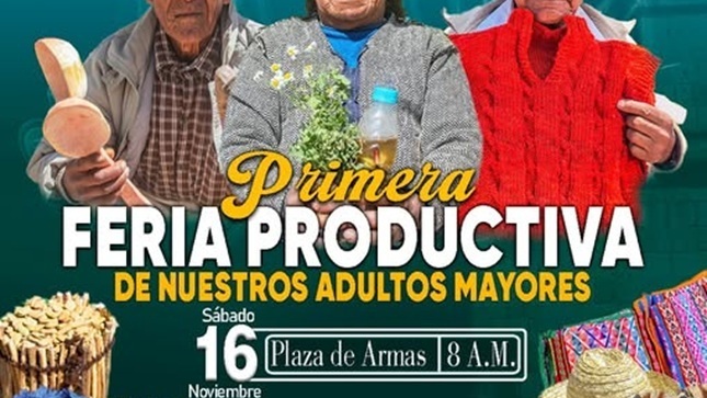 Flyers de la actividad