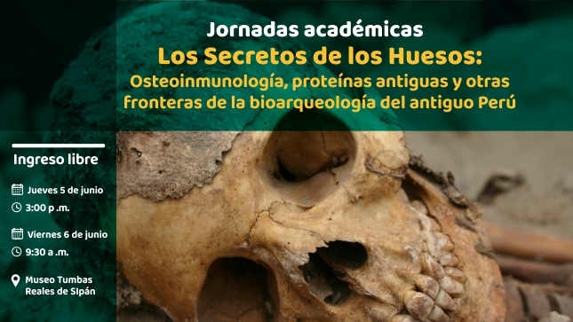 Conoce sobre bioarqueología en el Museo Tumbas Reales de Sipán