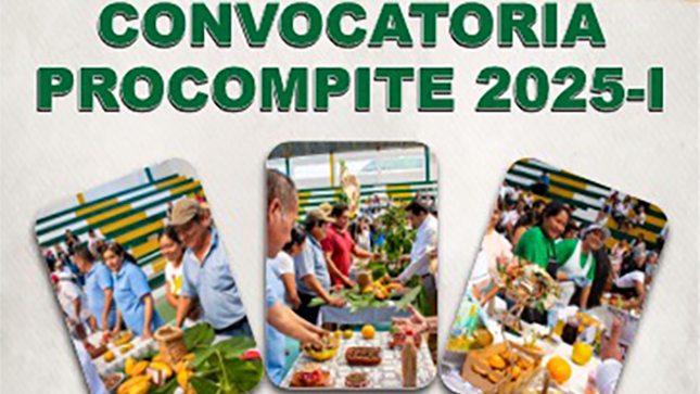X Convocatoria PROCOMPITE 2025 I